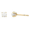 Pearl Studs